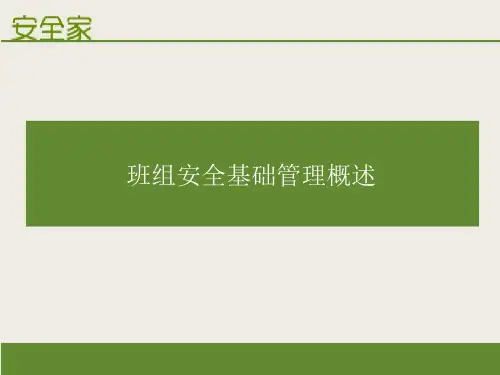 班组安全管理案例ppt