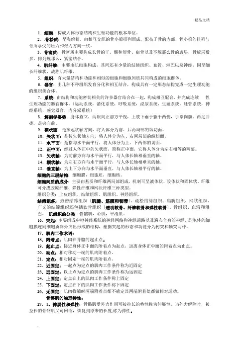 运动解剖学重点