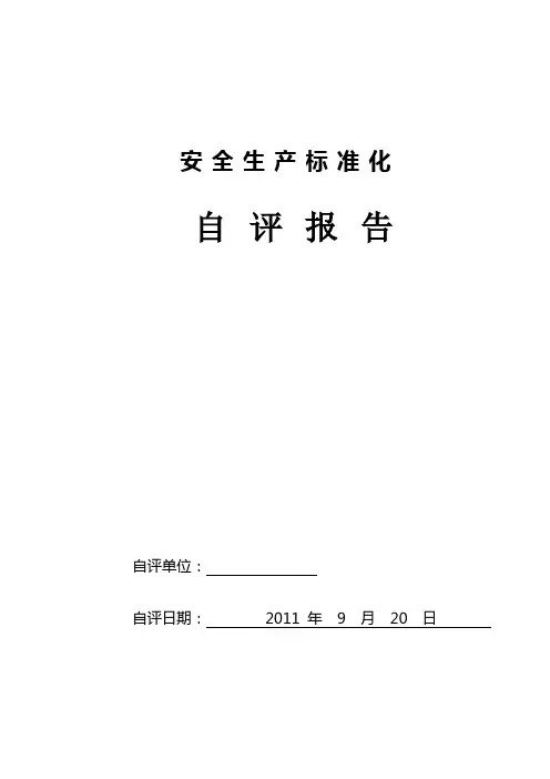 安全生产标准化自评报告