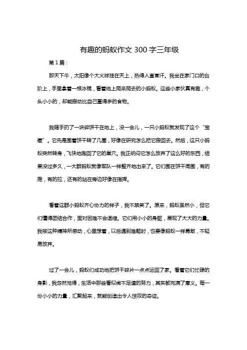 有趣的蚂蚁作文300字三年级