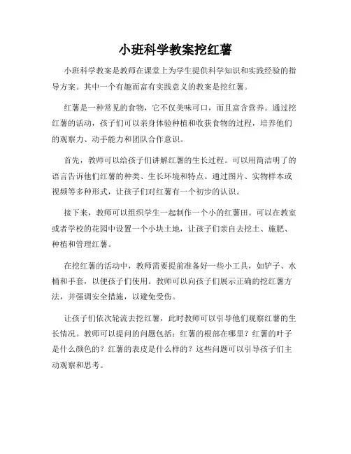 小班科学教案挖红薯
