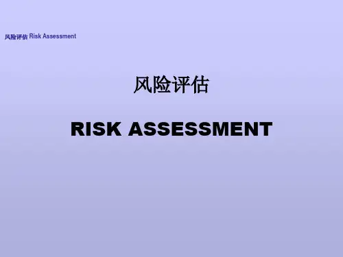 风险评估  PPT