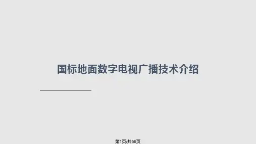 中国数字电视地面传输标准解读PPT课件