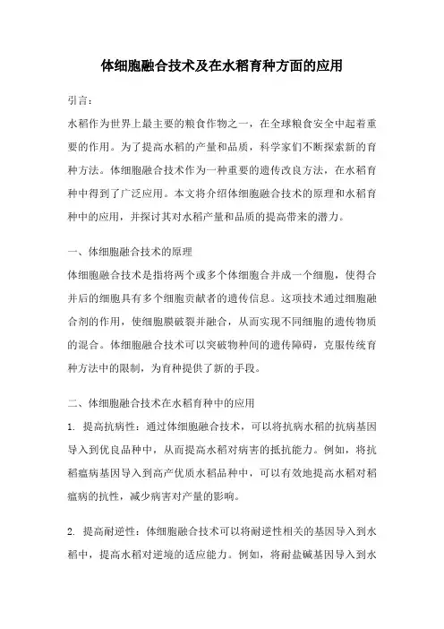 体细胞融合技术及在水稻育种方面的应用