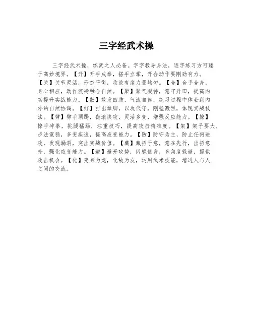 三字经武术操
