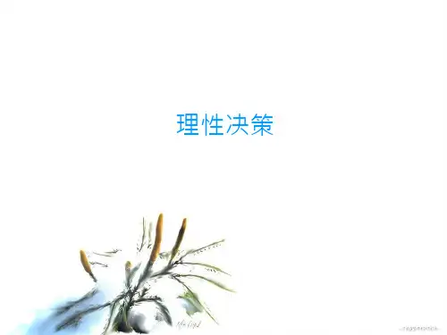 理性决策课件