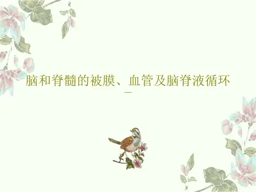 脑和脊髓的被膜、血管及脑脊液循环共34页文档
