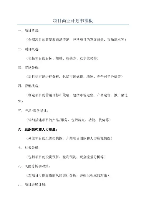 项目商业计划书模板