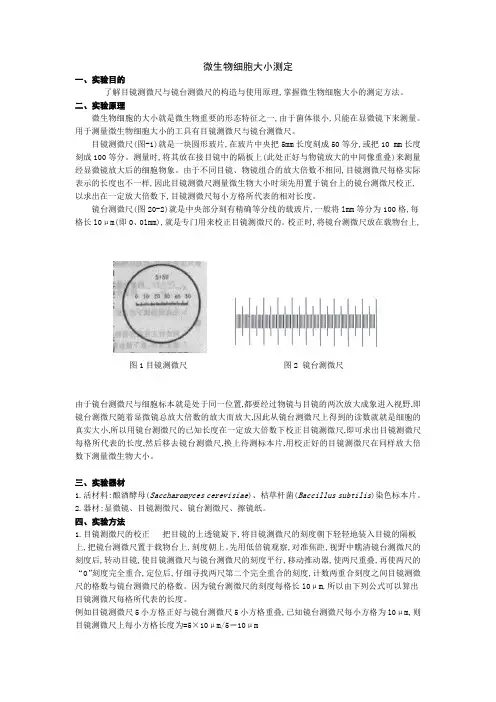 微生物细胞大小的测定方法