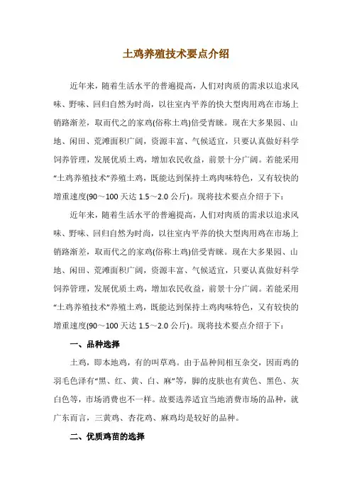 土鸡养殖技术要点介绍