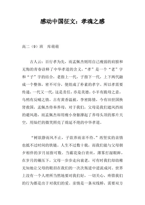 感动中国征文：孝魂之感