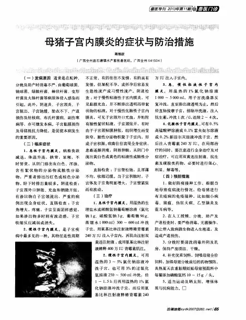 母猪子宫内膜炎的症状与防治措施