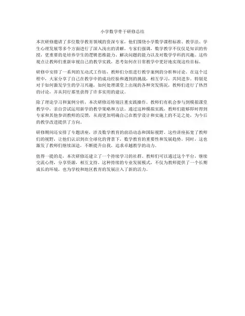 小学数学骨干研修总结