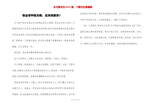 郁金香种植攻略,进来我教你？
