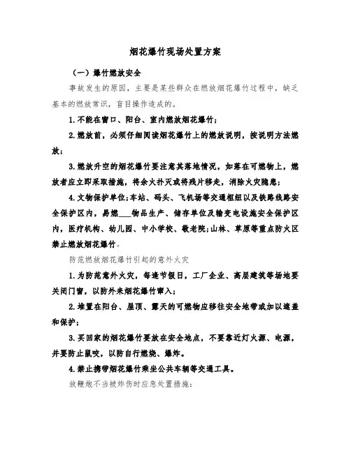 烟花爆竹现场处置方案(3篇)
