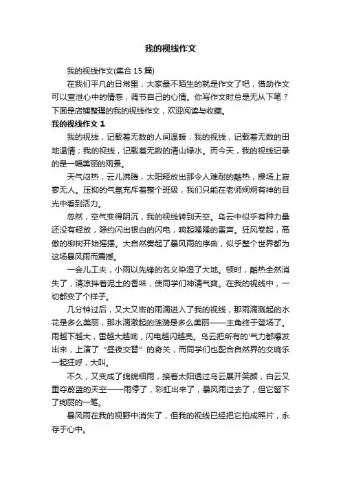 我的视线作文