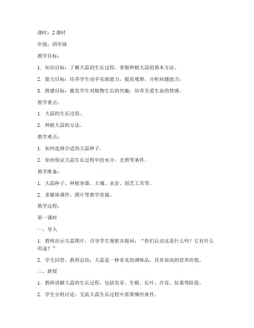 综合实践教案_种大蒜