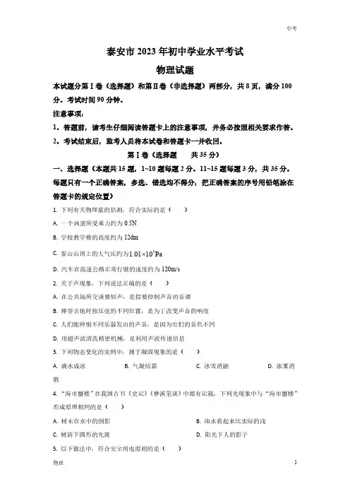 2023山东省泰安市中考物理真题及答案