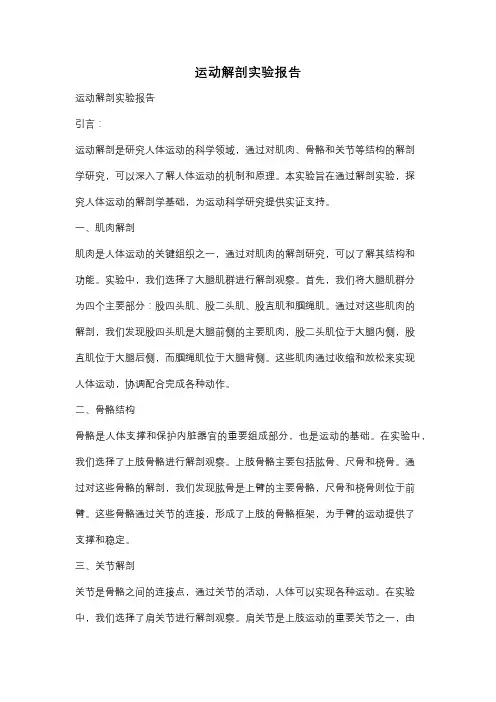 运动解剖实验报告
