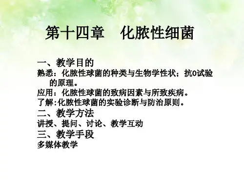 脑膜炎奈瑟菌