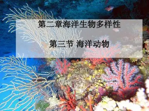 第二章海洋生物多样性 第三节 无脊椎动物