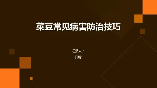菜豆的常见病害怎样防治菜豆常见病害的防治技巧