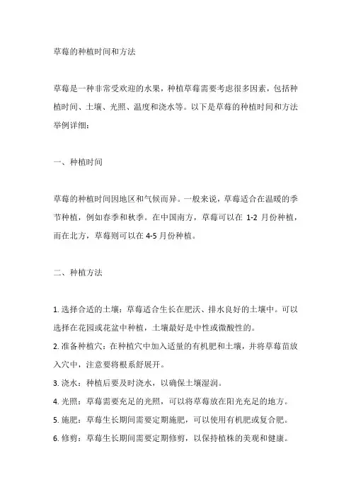 草莓的种植时间和方法