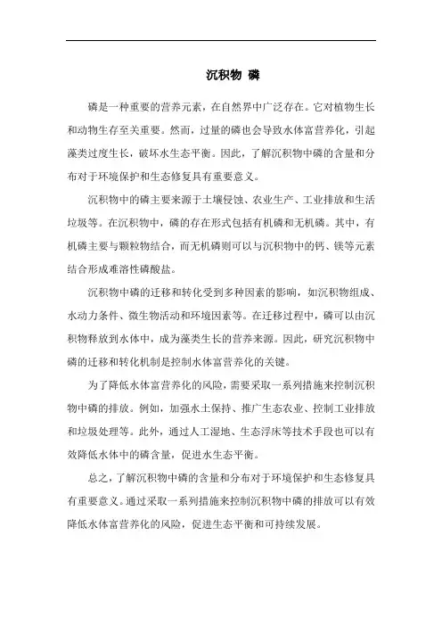 沉积物 磷