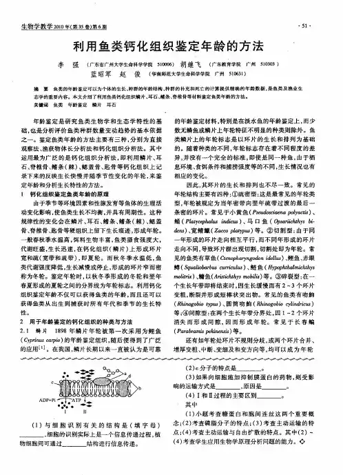利用鱼类钙化组织鉴定年龄的方法