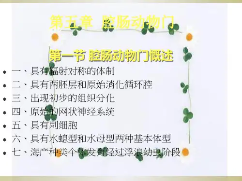 《腔肠动物》PPT课件