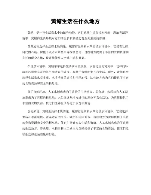 黄鳝生活在什么地方