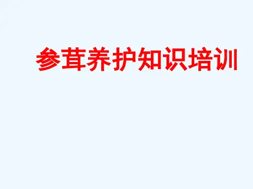 参茸知识培训