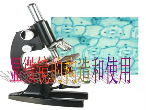 第四节显微镜的构造和使用
