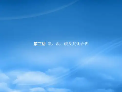 浙江省高考化学(学考标准+条目解析)第三讲 氯、溴、碘及其化合物课件