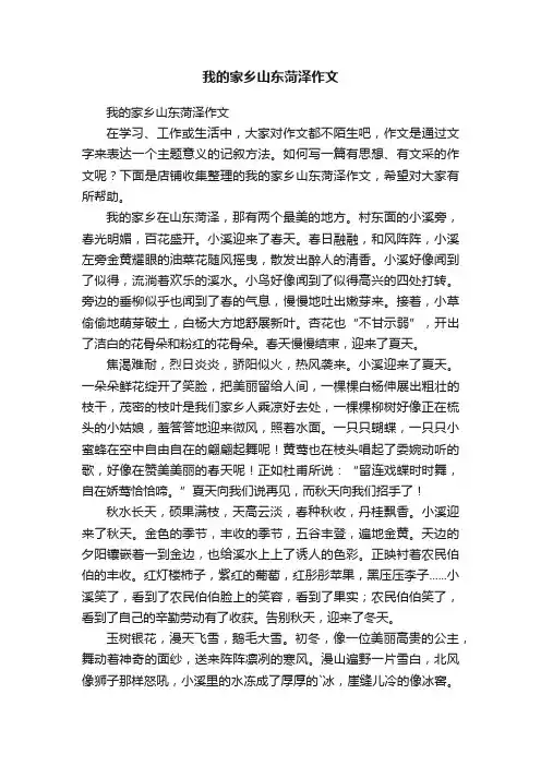 我的家乡山东菏泽作文