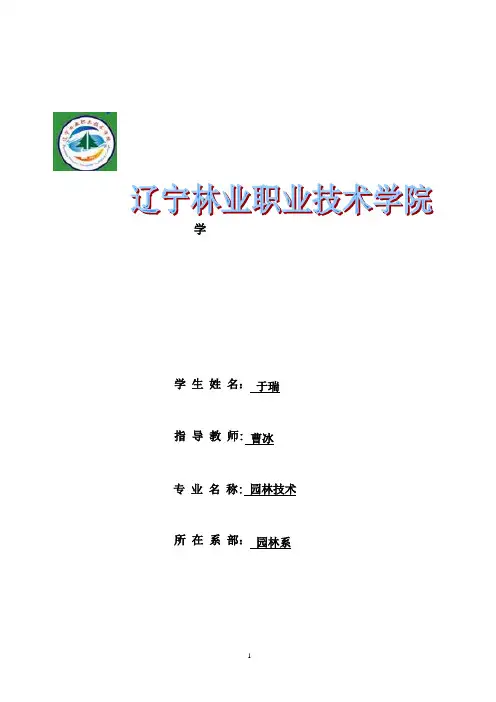 丹东市站前广场施工组织设计