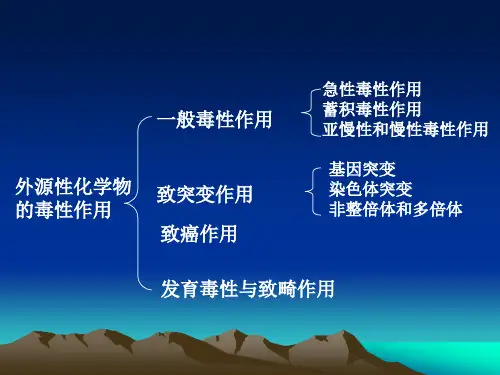 第五章 食品中化学物的一般毒性作用