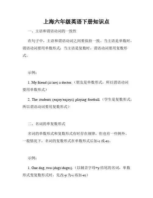 上海六年级英语下册知识点