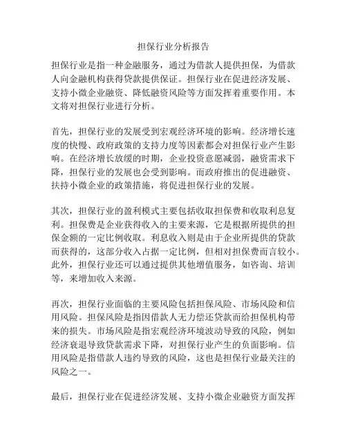 担保行业分析报告