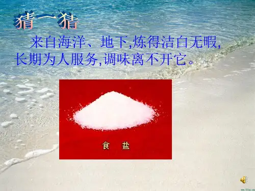 教科版四年级科学下册《分离食盐与水的方法》优秀课件