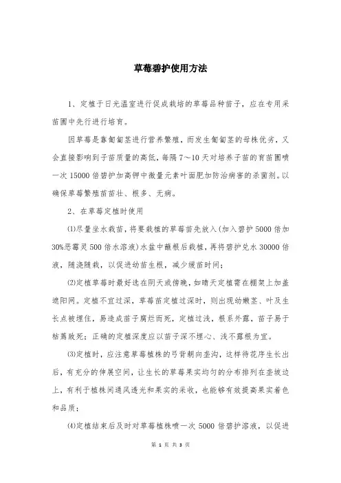 草莓碧护使用方法