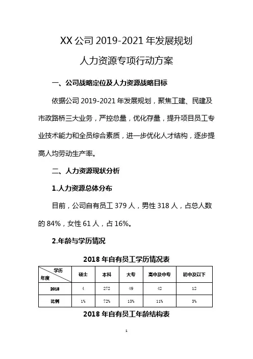 XX公司2019-2021年发展规划人力资源专项行动方案