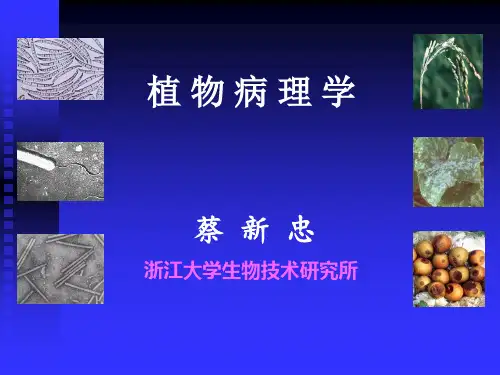植物病理学3(病害循环+诊断+防治) 图文