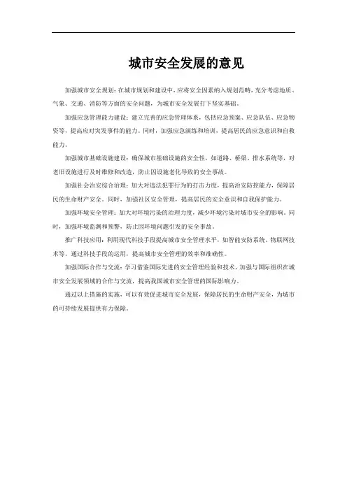 城市安全发展的意见