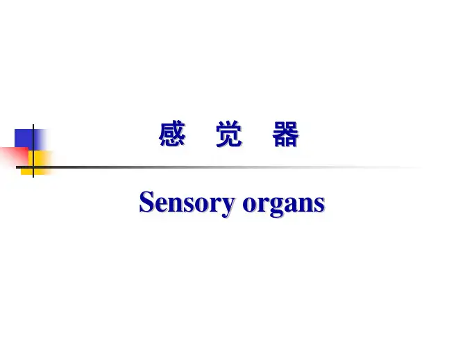 系统解剖学高清图谱-11感觉器