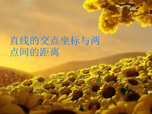 两点间距离公式PPT课件