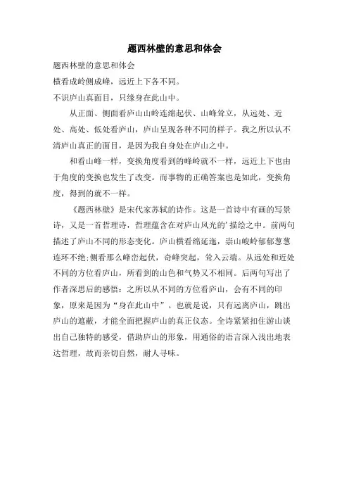 题西林壁的意思和体会