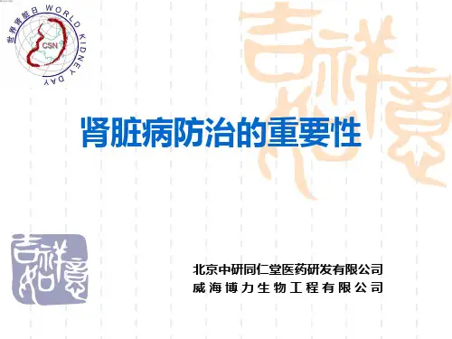 肾病科普
