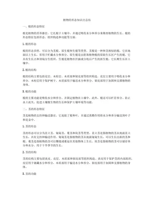 植物的形态知识点总结