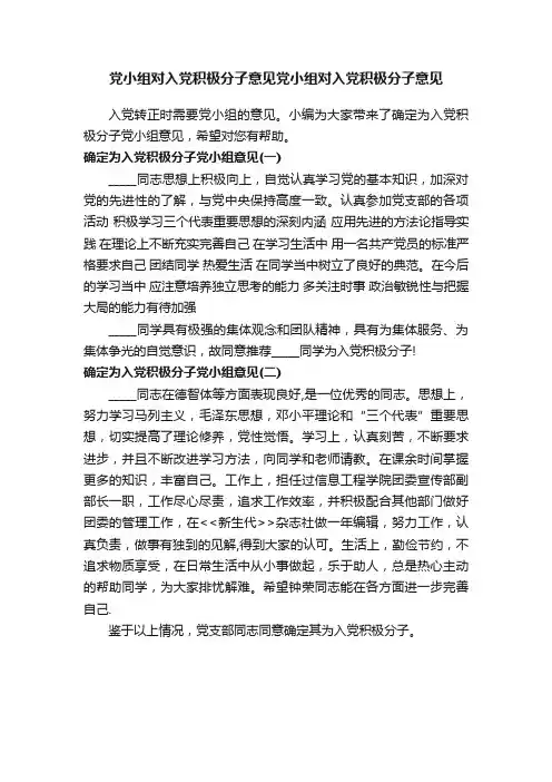 党小组对入党积极分子意见党小组对入党积极分子意见